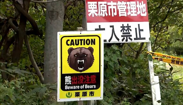キノコ採りの女性がクマに襲われ死亡　別の女性も行方不明に　全国で相次ぐクマ被害　対策は？｜FNNプライムオンライン