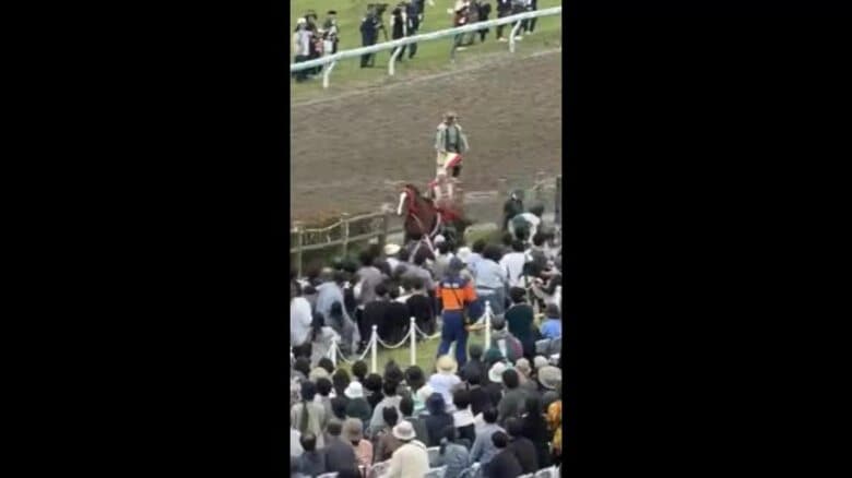馬と人が衝突　4人がケガ　相馬野馬追で甲冑競馬中に放馬＜福島県・南相馬市＞｜FNNプライムオンライン