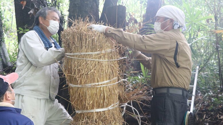 釘などは使わずに全て手作りだという