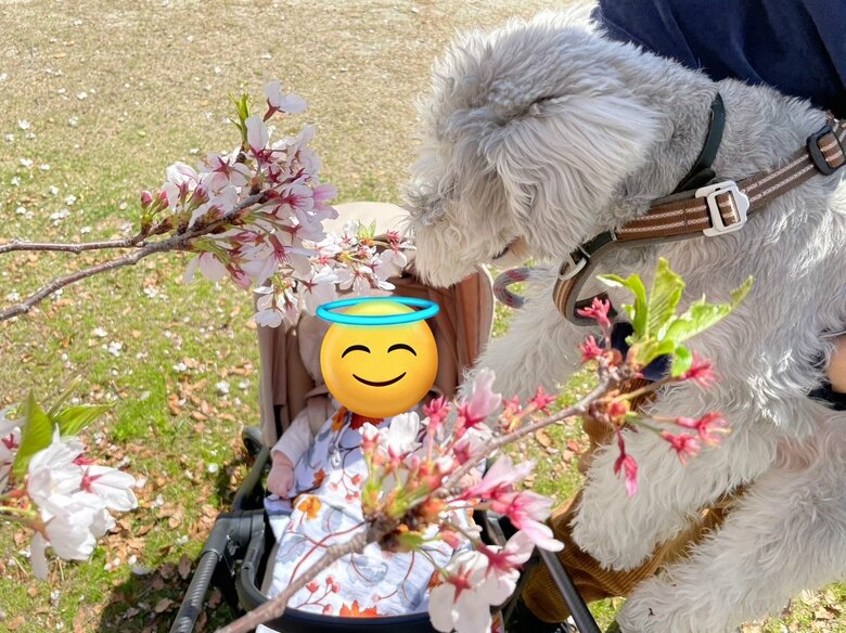 春のおでかけにて(提供:こんぶさん)