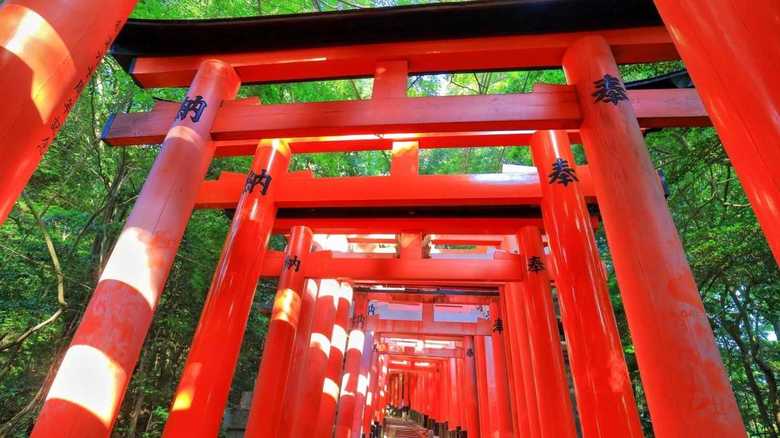 伏見稲荷など、人が集まりそうな観光地の影響が大きいようだ(画像はイメージ)