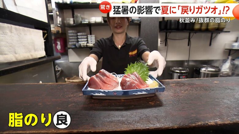 戻りガツオのように脂がのったカツオの刺身