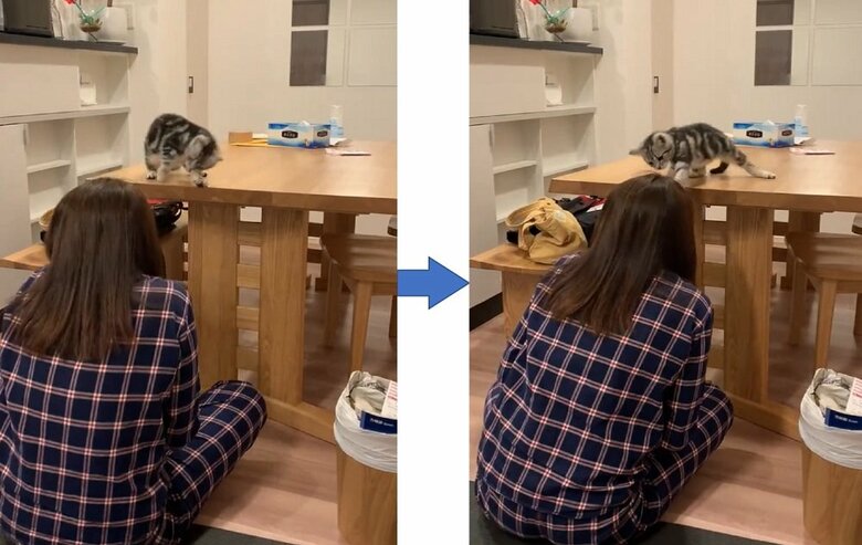 タッチするべき？どうしよう？とわちゃわちゃ