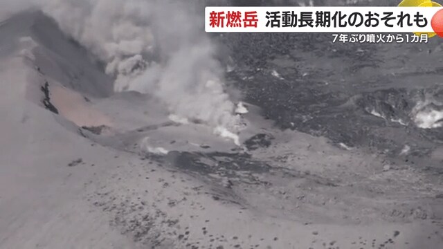 井村准教授「下から上がってきたものが“出口”を探している」