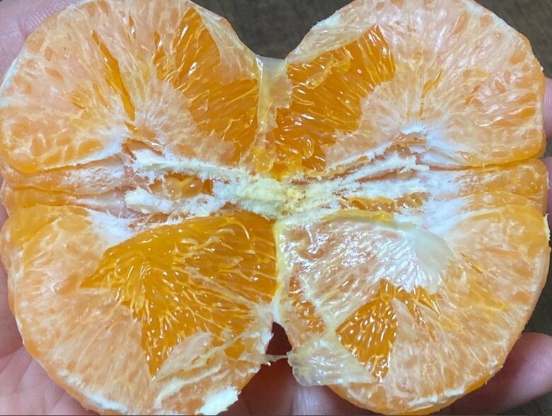 提供：のま果樹園