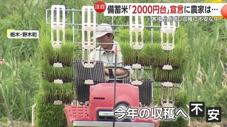 農家からは米の収穫への不安の声が