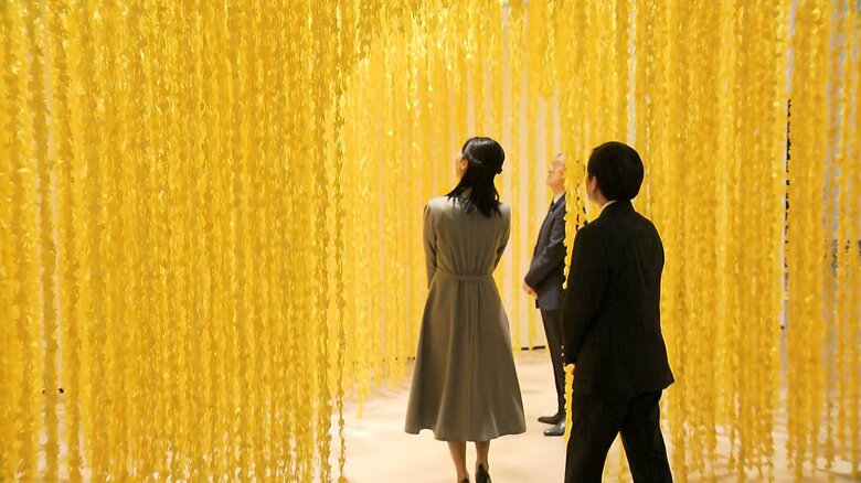 須藤玲子さん作「ピカチュウの森」をご覧に