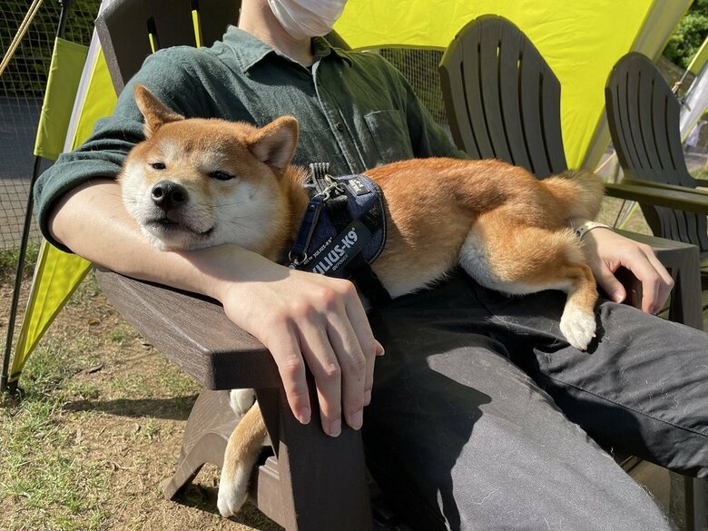 ドッグランでは抱っこが多い