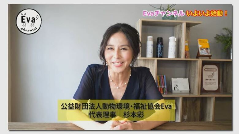 YouTubeの「Evaチャンネル」より