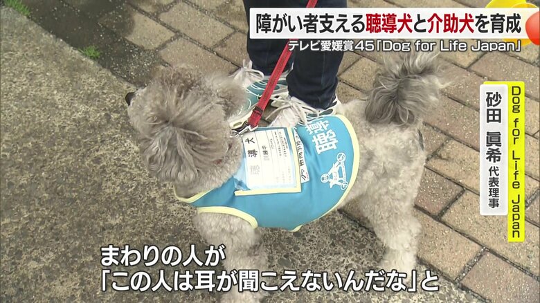 「見えない障がい」を社会に伝える存在