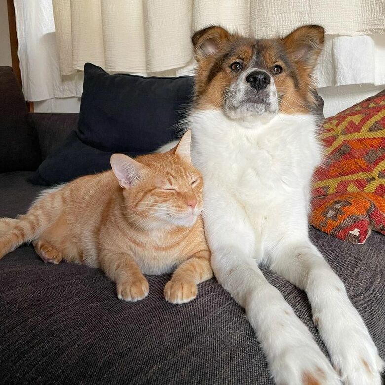 提供：naomiさん