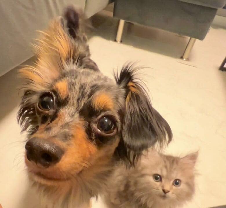 提供：チワックスの諭吉くん。さん