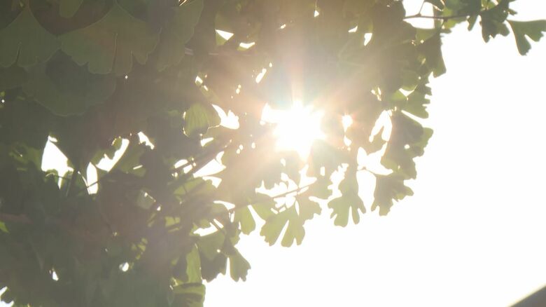 画像はイメージ