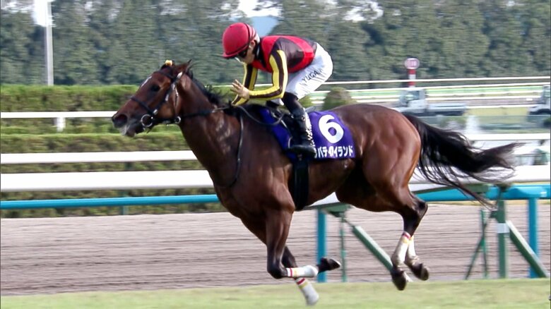 2023年の3冠牝馬リバティアイランド
