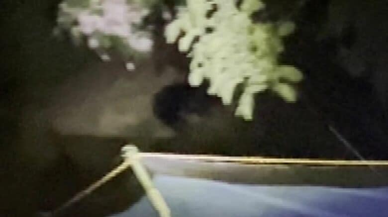 1時間ほど居座りクリを食べていたクマ（提供：札幌市）