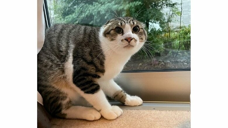 病院に行くのがバレたときの様子（投稿動画とは別日に撮影）