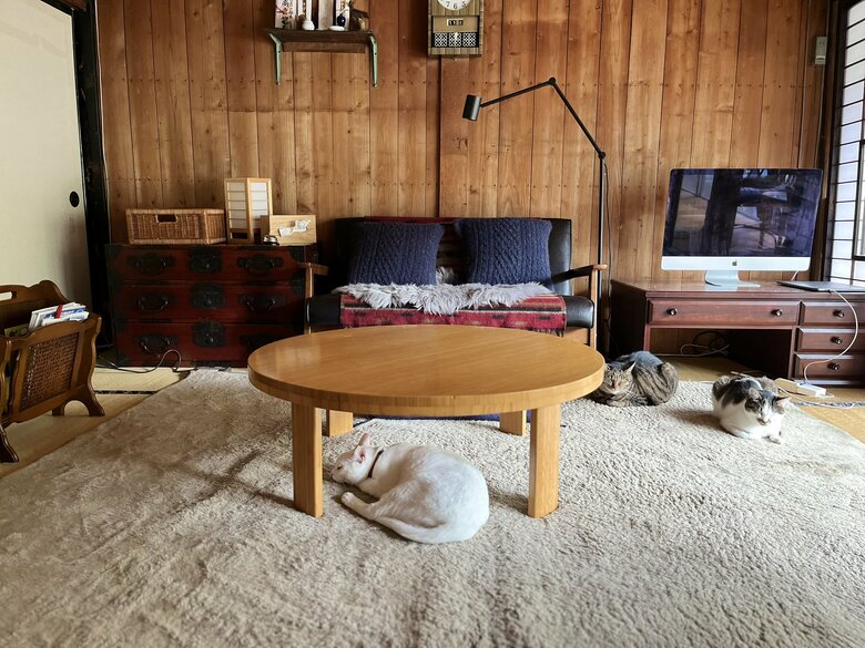 部屋でくつろぐ猫たち