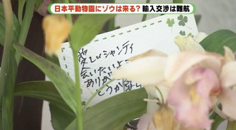 市民からのメッセージ