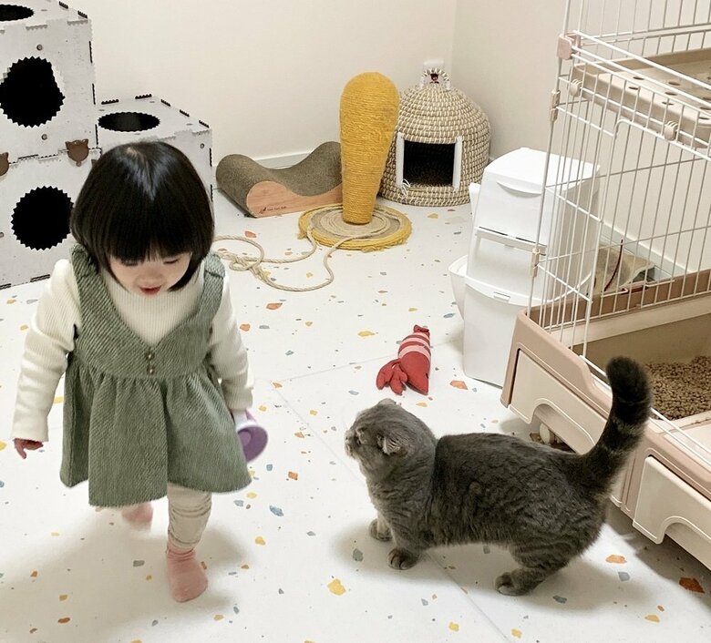 遊んでくれる？