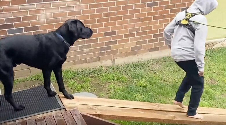 「どういうこと？」と困惑しているようだ