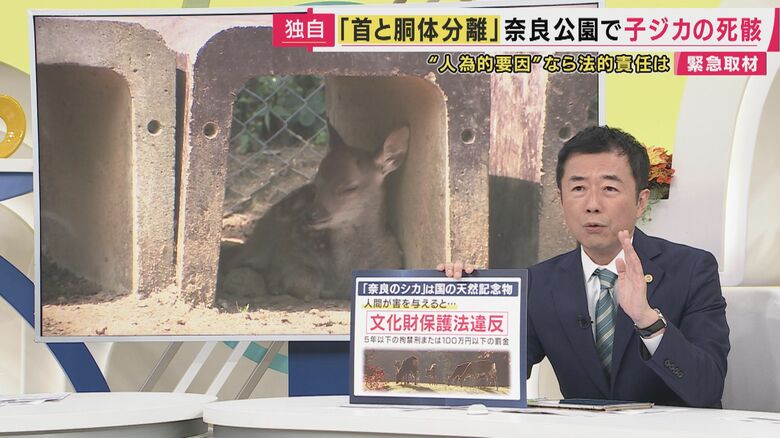 西脇亨輔弁護士