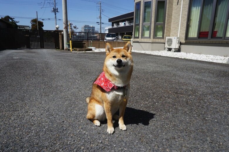 提供：はちさん