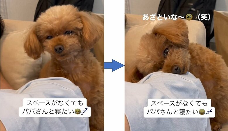 起こされるも…再びコテン