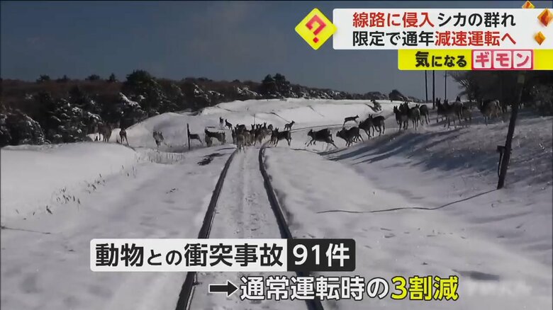 JR花咲線の線路を横断するシカの群れ