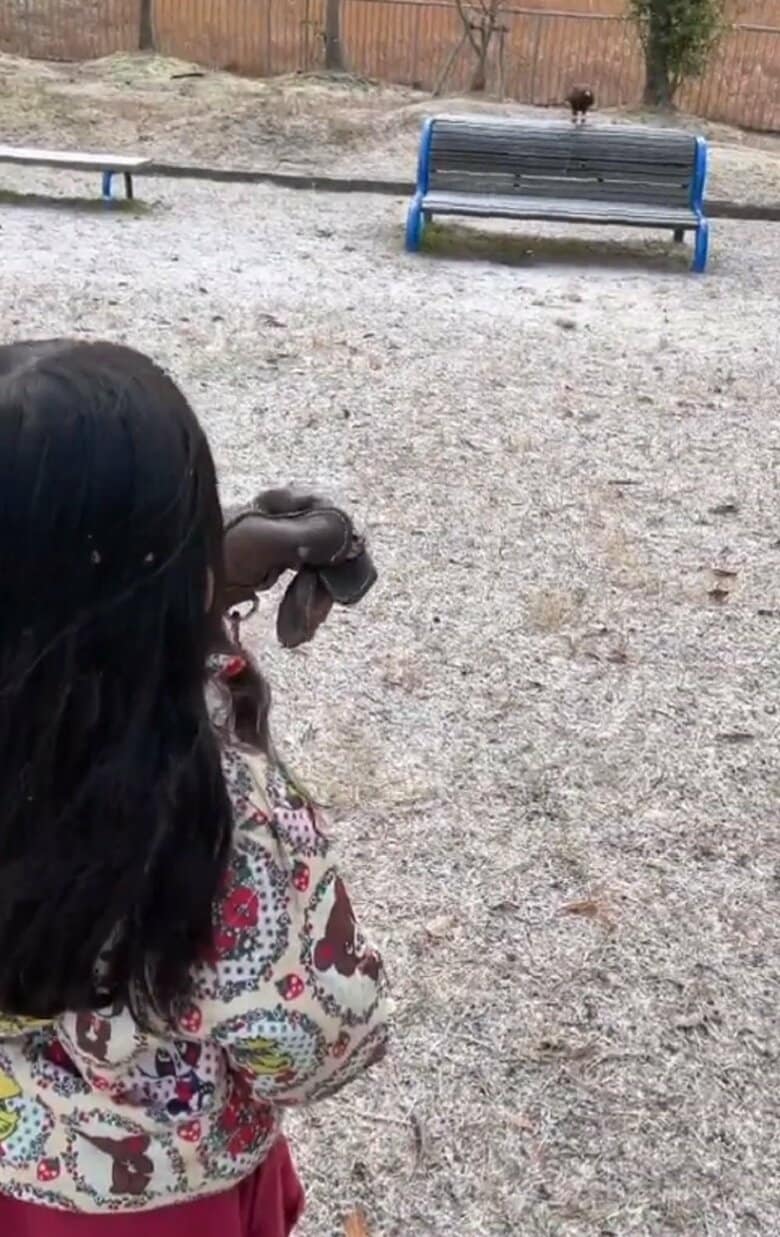 次女さんのフライト