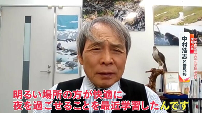 60年近く鳥類の研究を続けている、信州大学の中村浩志名誉教授