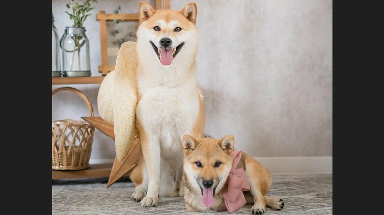 撮影会での一枚