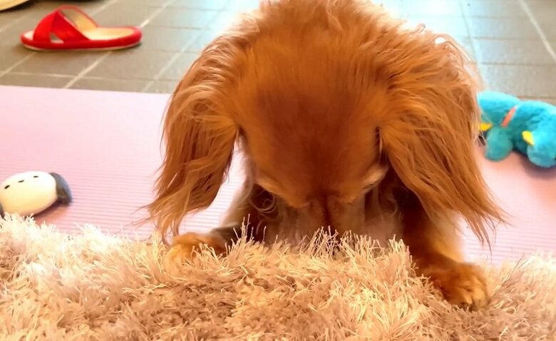 やってしまった…