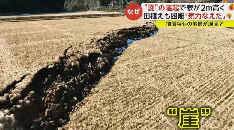 地面が盛り上がった田んぼ