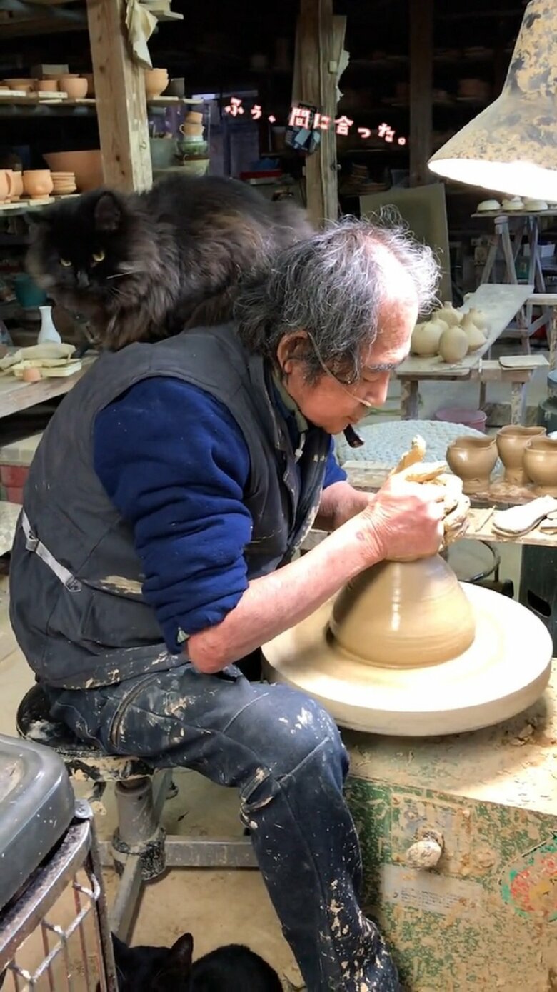 定位置はお父さんの肩の上！