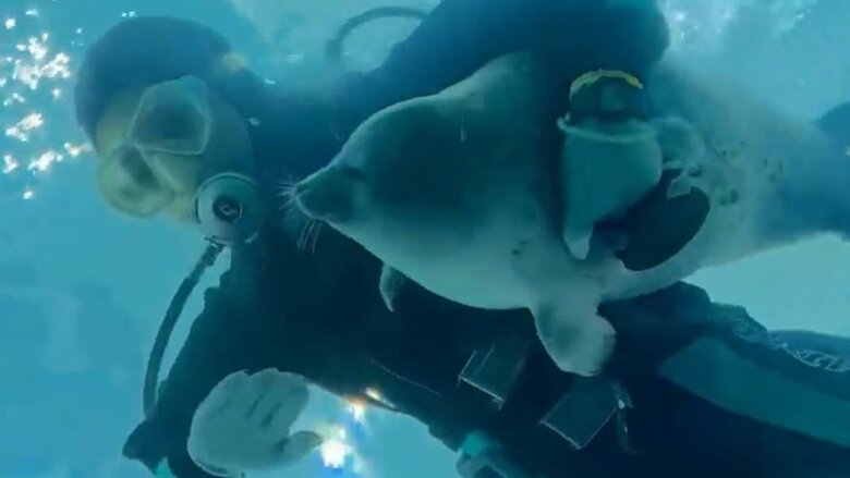 抱えられて幸せそうな様子（提供と撮影：ガッチリカさん）