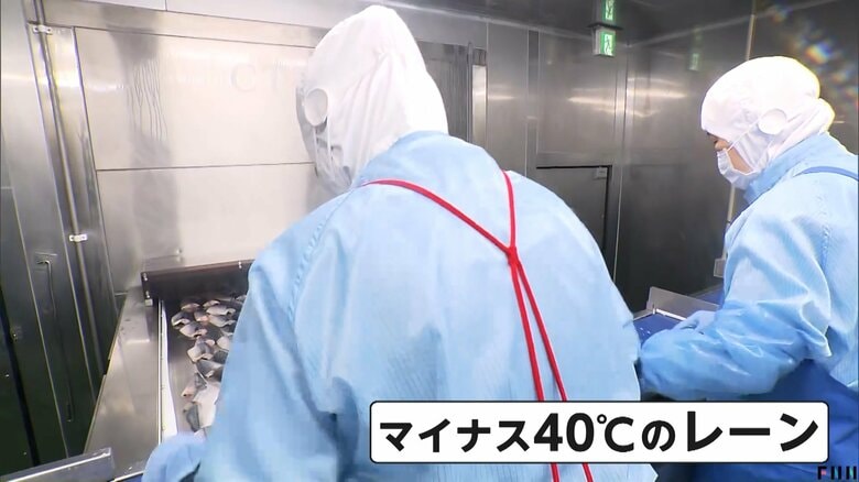 切り身のサバを冷凍するためのマイナス40度のレーン