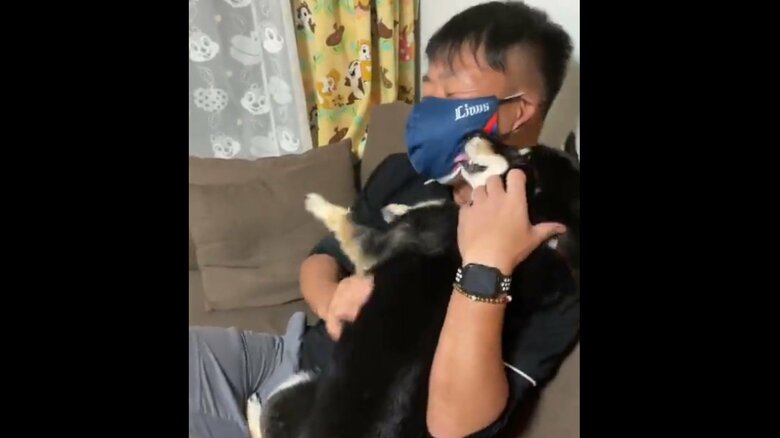帰宅時の様子その3。お父さんのそばで念願叶ったチョコちゃん
