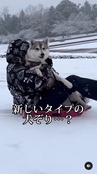 提供：ハスキーいちみちゃんと田舎暮らしさん