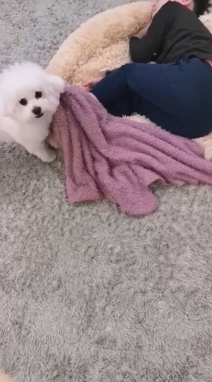 提供：エマ emmaさん