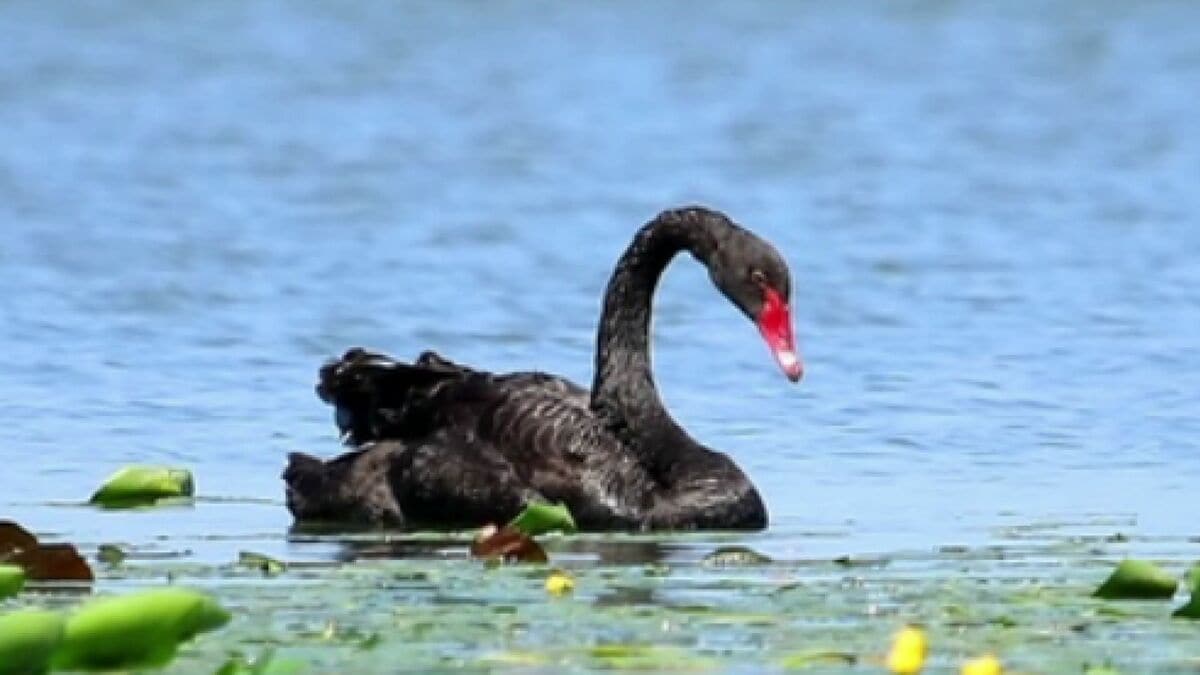 img_70e25399090519a818be538cb1