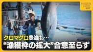 クロマグロ豊漁続くも“漁獲枠の拡大”合意至らず　「やっぱりか…」漁師からは“諦めの言葉”もマグロ放流による損害大きく「かなり痛手」新潟・佐渡市