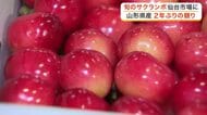 色づきやハリも良好 仙台市中央卸売市場で山形県産サクランボ「佐藤錦」などが２年ぶりとなる初競り