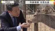 大阪市内で相次ぎ目撃された“迷いジカ”　温泉施設へ移送し元気な姿　横山市長が現地を視察　名前はSNSで募集　「シカやん」が有力候補に