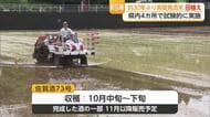 30年ぶり県開発の新品種酒米「佐賀酒73号」田植え　県内4カ所で試験的に栽培【佐賀県】