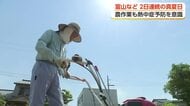 「倒れそう」2日連続の真夏日、富山市など6地点　農作業の現場では熱中症に警戒