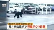 【クマ出没】酒田市の畑で成獣・長井市の小学生が通学中に目撃　尾花沢市・遊佐町・金山町でも目撃　山形