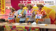 今年も出現！マンゴー共和国！　甘くてジューシーな宮古島産マンゴーをPR