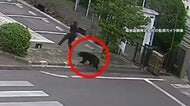 「従業員が襲われた」福島でクマが襲撃4人搬送　工場に侵入し居座り　箱わなやドローンで捕獲作戦　秋田の73歳女性死亡も被害か