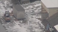 香川の鳥インフル 約140万羽の殺処分完了へ【香川】