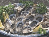 甘みが強い三重・志摩市の特産…養殖業者らが『的矢かき』を伊勢神宮に奉納 11月から出荷始まるのを前に